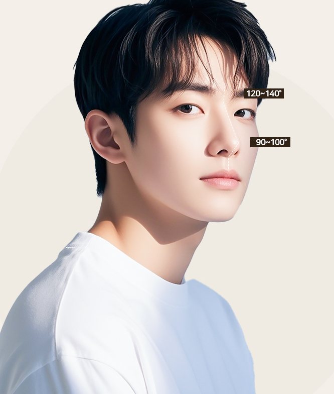 이상적인 남자코 — 이마·콧대 각도 120~140°, 코끝·입술 각도 90~100° 를 표시한 남성 모델