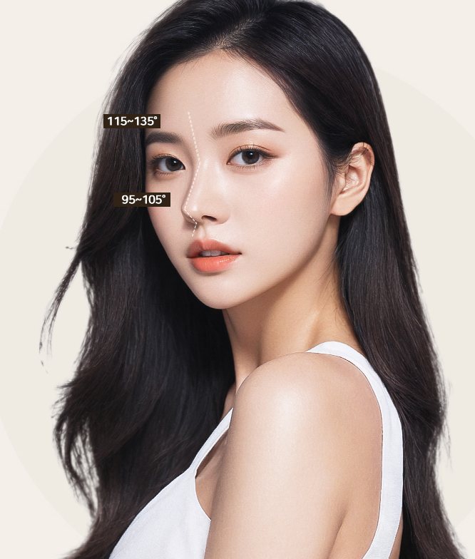 이상적인 여자코 — 이마·콧대 각도 115~135°, 코끝·입술 각도 95~105° 를 표시한 여성 모델